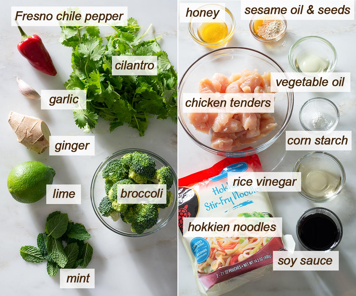 Chicken hokkien noodle stir fry ingredients.