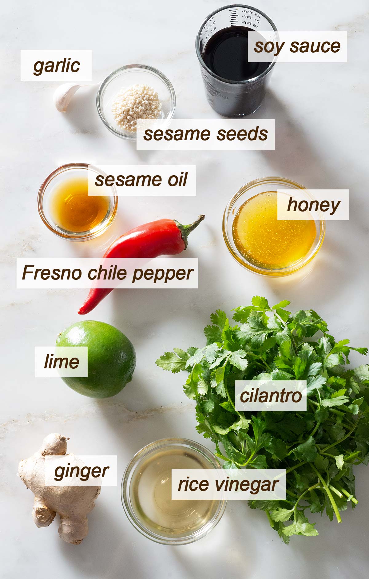 Soy sauce, garlic, sesame seeds, sesame oil, honey, Fresno chile, lime, cilantro, ginger and rice vinegar.