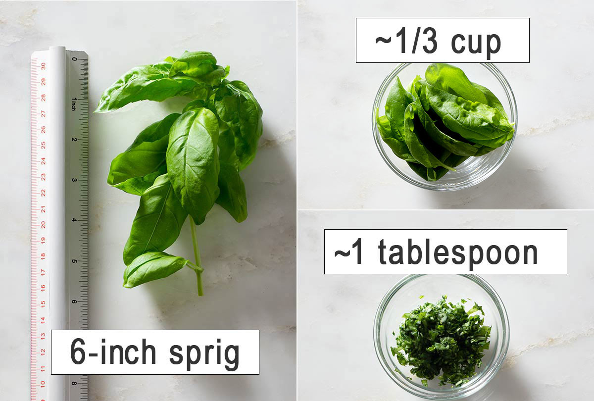 A basil sprig, basil leaves and finely chopped basil.